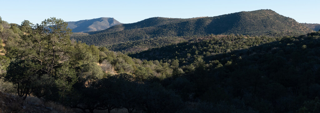 Pine-framed mountain ridge in deep afternoon shadow