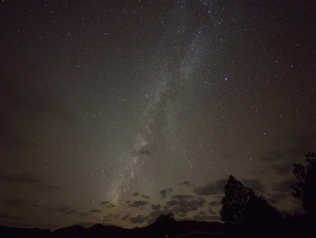 Milky Way rising above trees