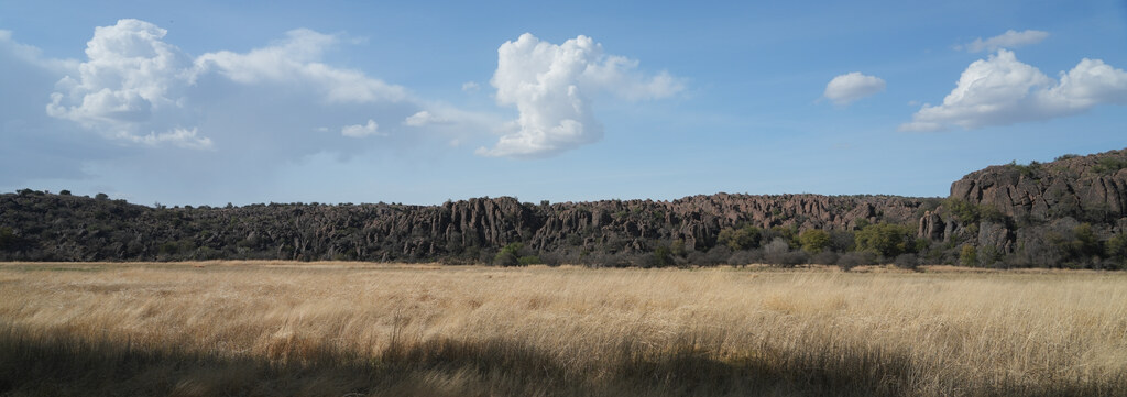 Golden grassland below a dark volcanic ridge