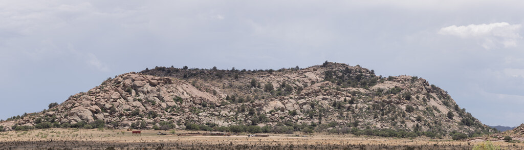 Granite-covered hill beyond dry grass