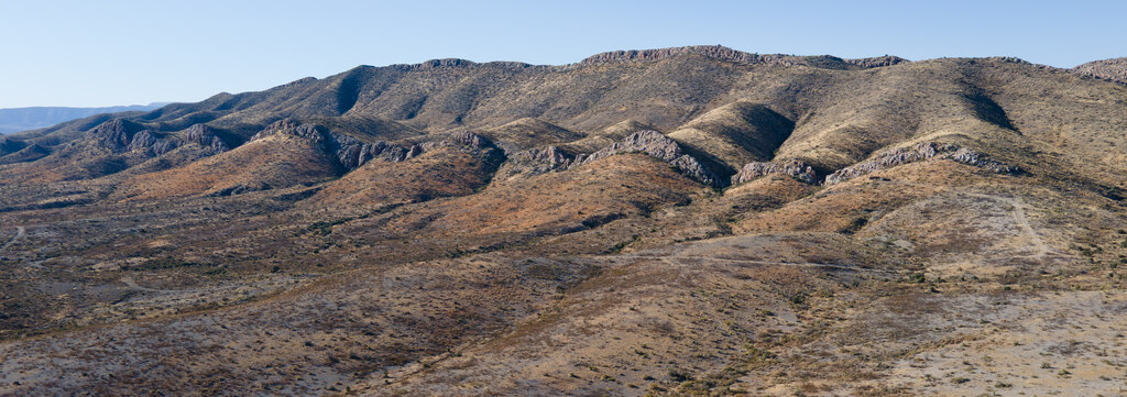 Rounded folded ridge above sparse desert vegetation