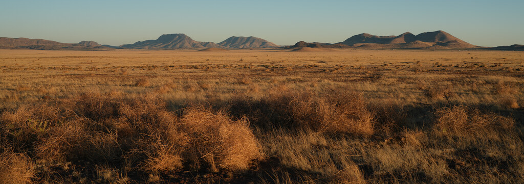 Golden grassland and distant angular hills near Marfa