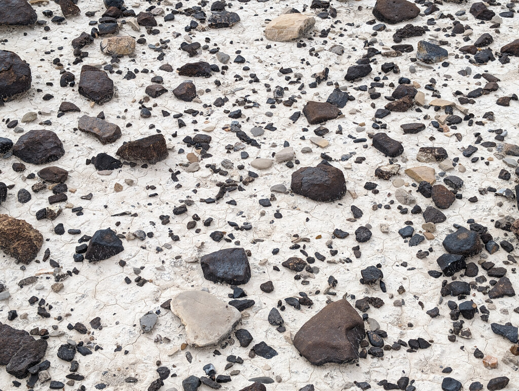 Dark stones scattered across pale desert ground