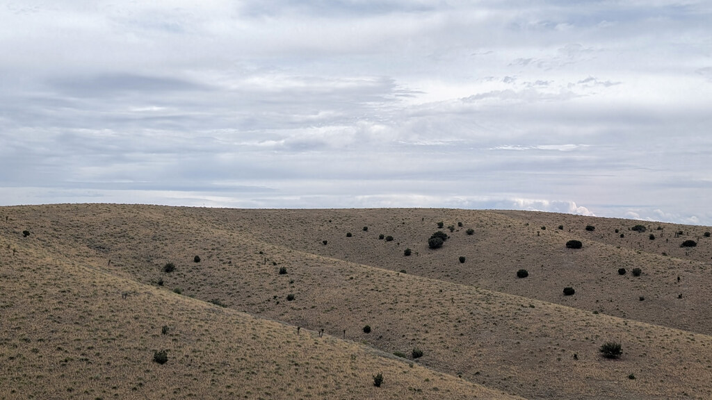 Rounded tan hills dotted with dark shrubs under a gray sky