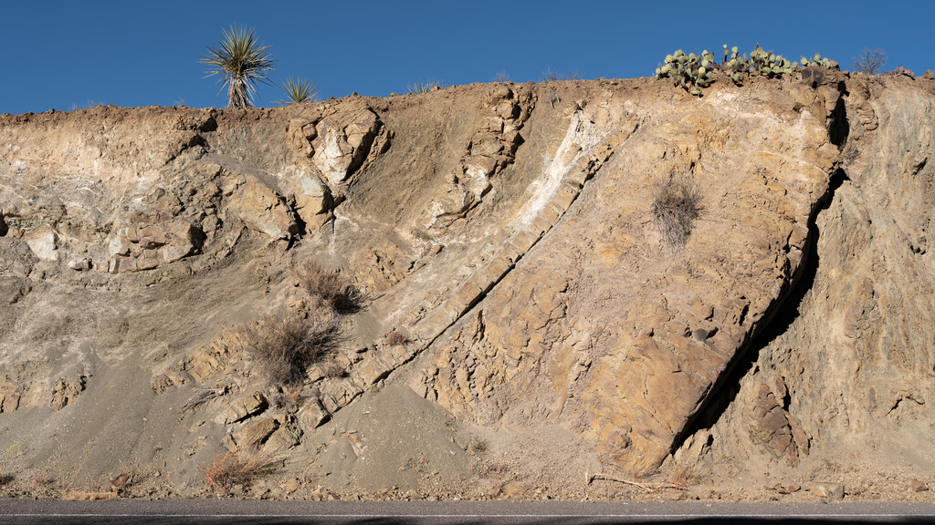 Gray roadcut divided by a dark diagonal fracture