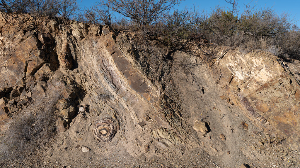 Weathered gray rock crossed by pale folded bands